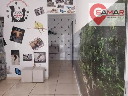 erro ao carregar imagem