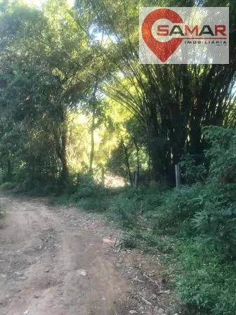 erro ao carregar imagem