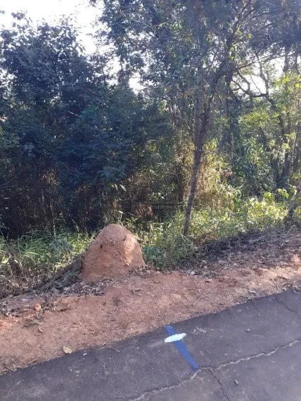 erro ao carregar imagem