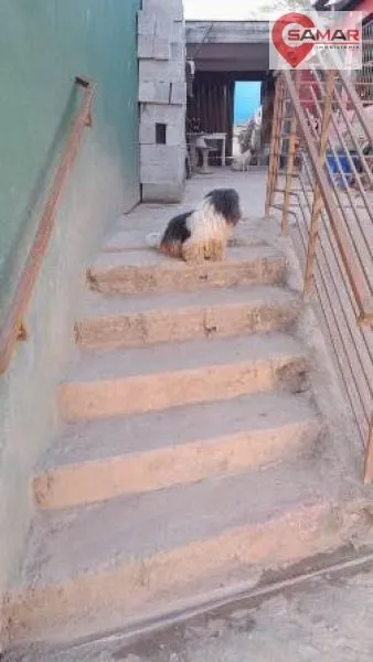 erro ao carregar imagem